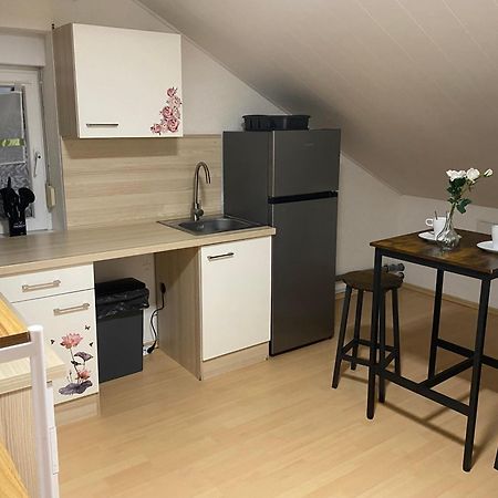 Deluxe Business Suite Mit Netflix Premium & Parkplatz, Zentral Zu Audi & Schwarz Gruppe With 2 Bedrooms Bad Friedrichshall Εξωτερικό φωτογραφία