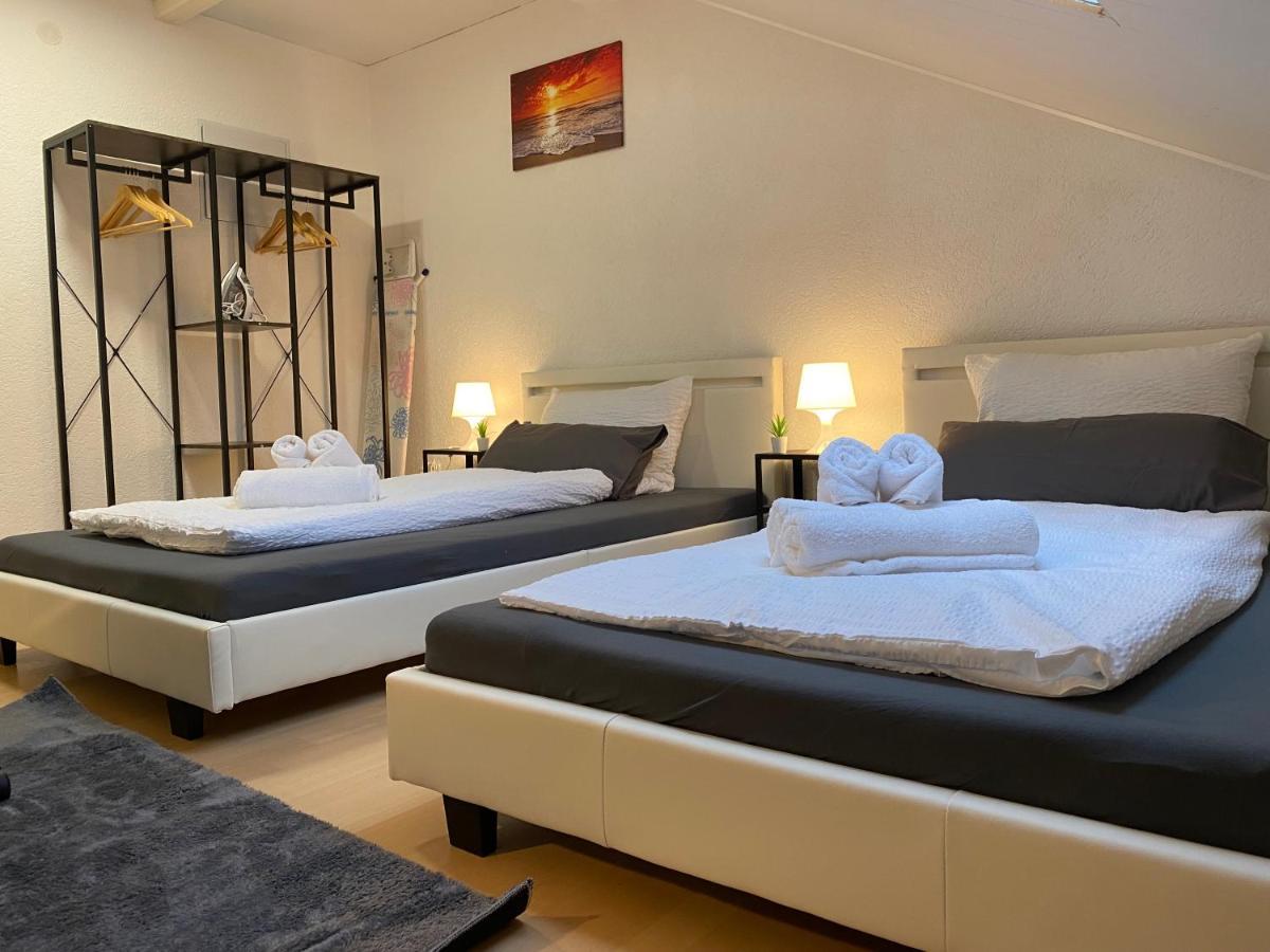 Deluxe Business Suite Mit Netflix Premium & Parkplatz, Zentral Zu Audi & Schwarz Gruppe With 2 Bedrooms Bad Friedrichshall Εξωτερικό φωτογραφία