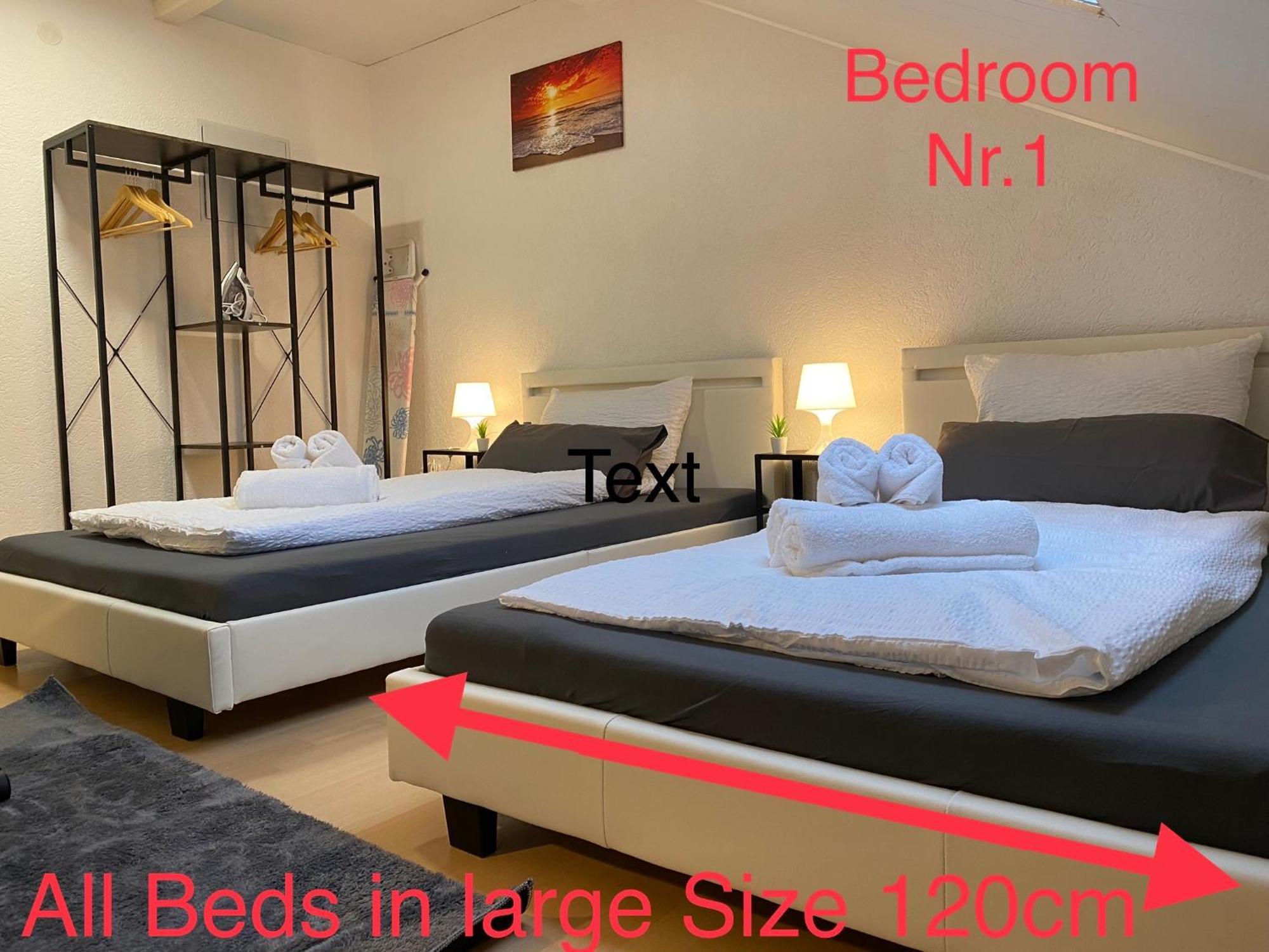 Deluxe Business Suite Mit Netflix Premium & Parkplatz, Zentral Zu Audi & Schwarz Gruppe With 2 Bedrooms Bad Friedrichshall Εξωτερικό φωτογραφία